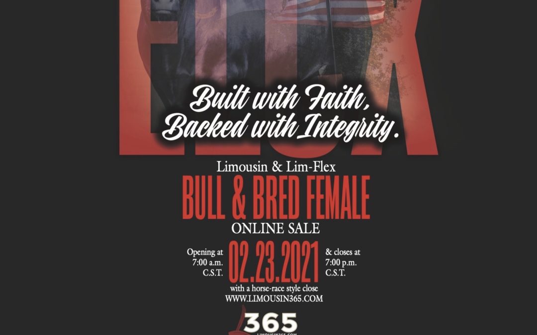 ELCX Bull & Bred Female Online Sale 2.23.2021