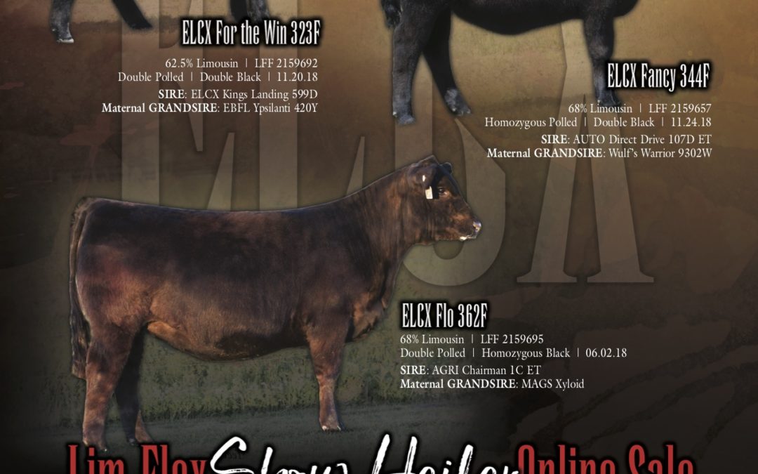 April L365 Show Heifer Sale Ad