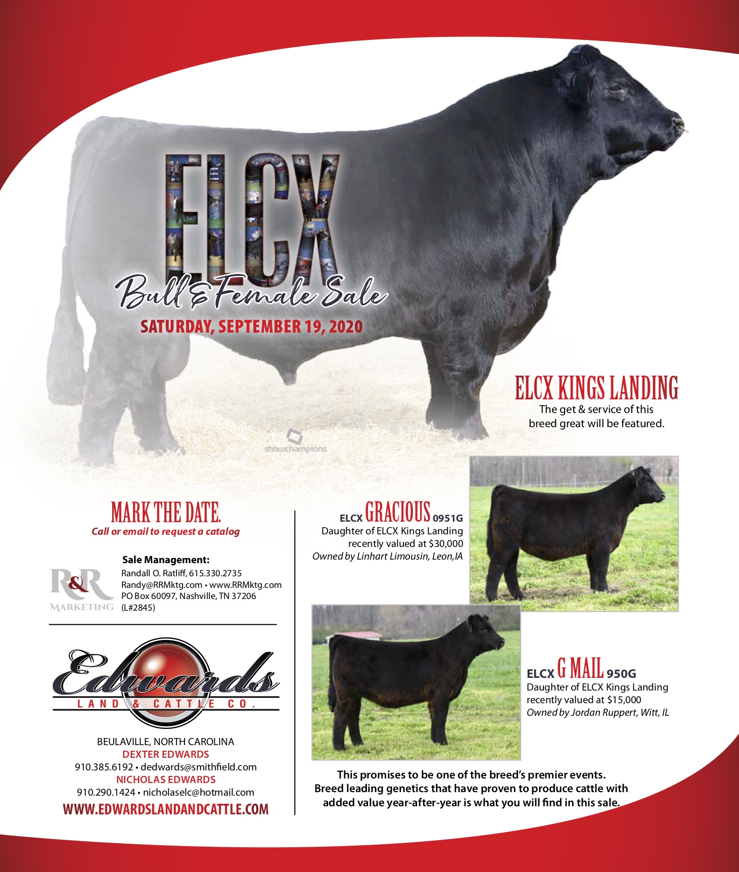 ELCX Bull & Female Sale