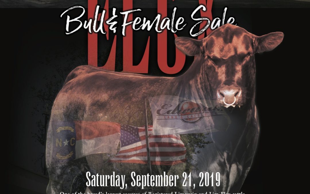 2019 ELCX Bull & Female Sale