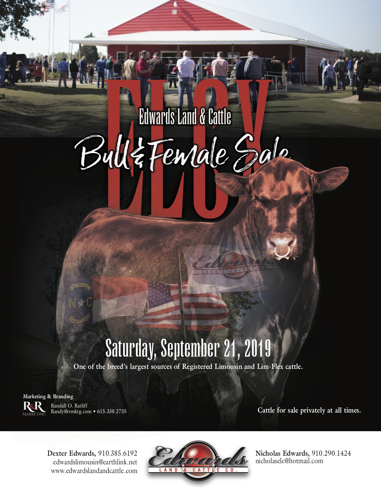 2019 ELCX Bull & Female Sale