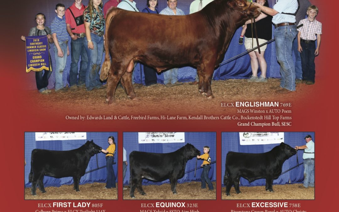 2019 LToday July Champion Ad