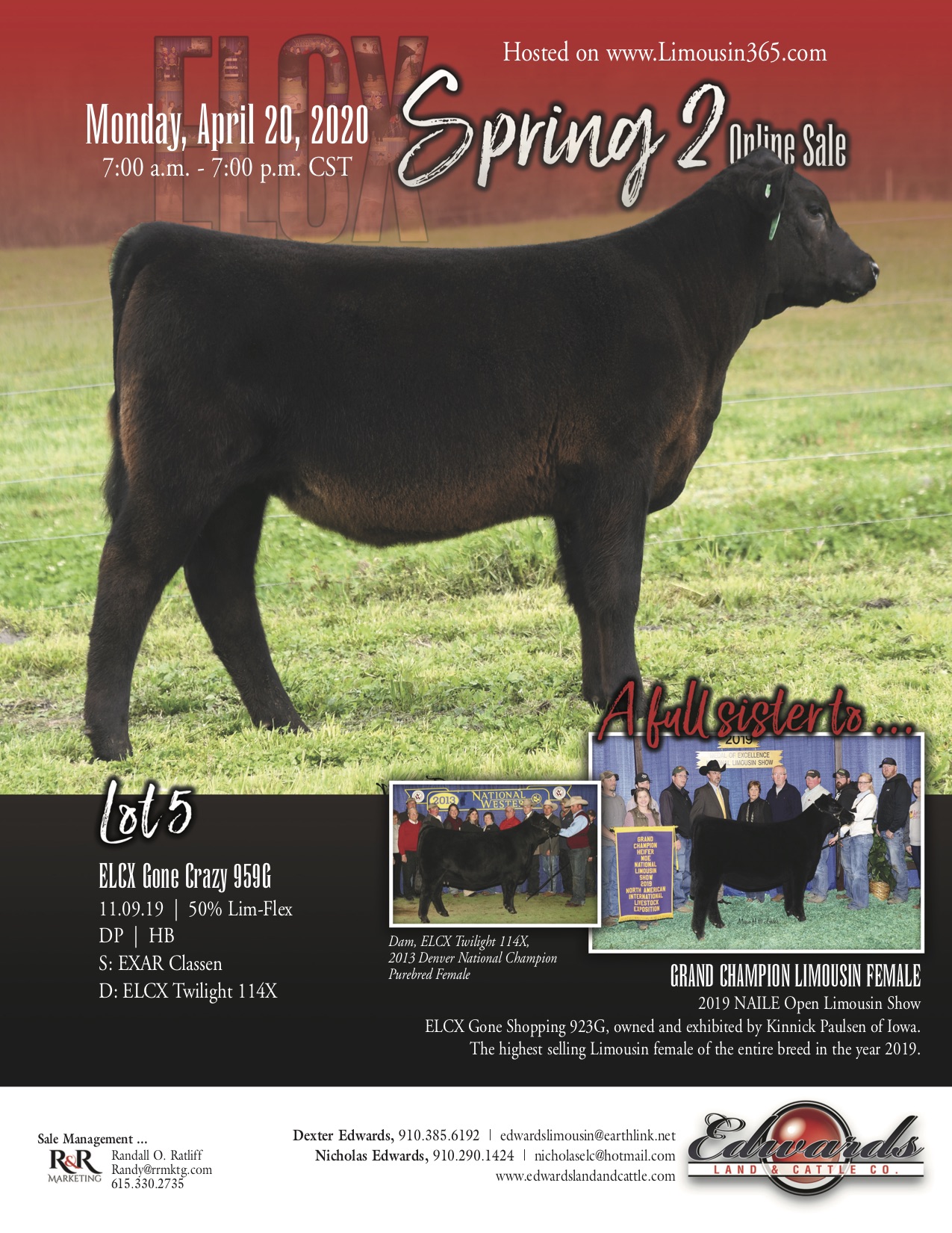 2020 ELCX Spring II Online Sale – Full Sibling to 2019 NAILE Grand Champion