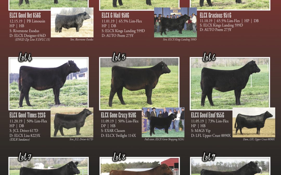 2020 ELCX Spring II Online Sale Full Offering