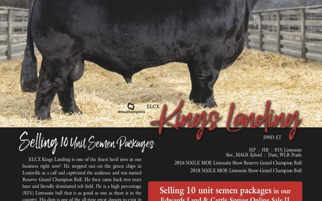 2020 ELCX Spring Online Sale II – Kings Landing Semen Package Feature