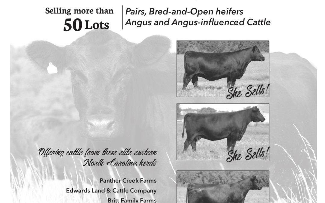 Summer Classic Female Sale June 2019