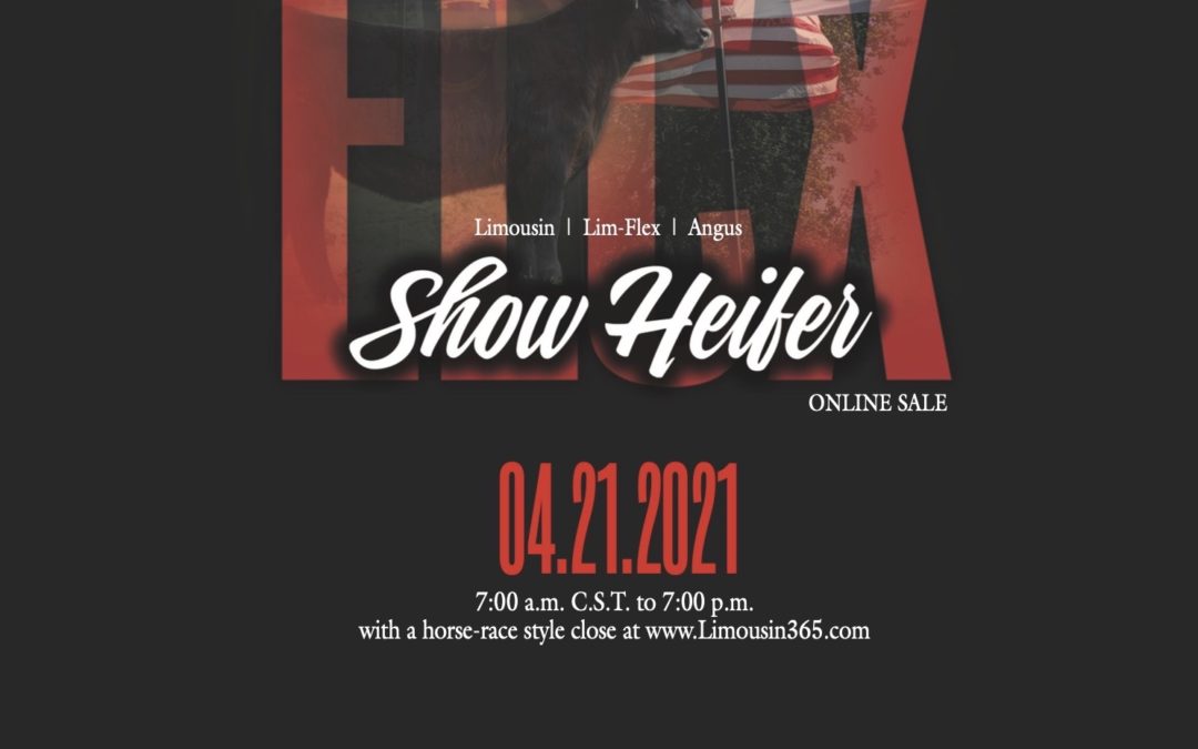 ELCX Show Heifer & Bull Online Sale 4.21.2021