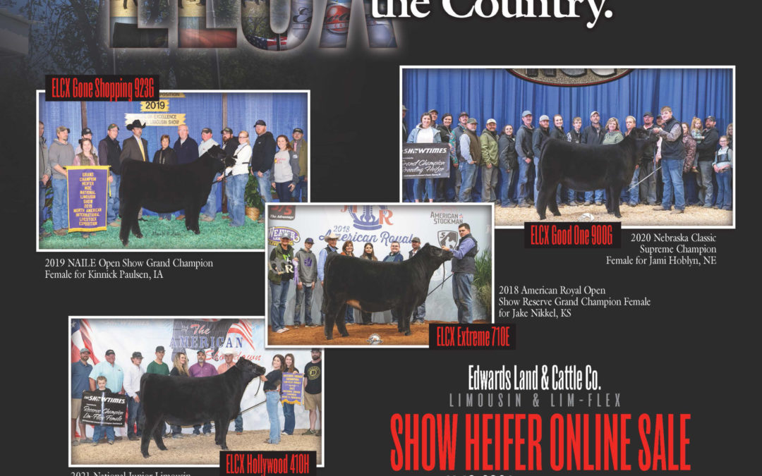 Edwards Land & Cattle Co. Limousin & Lim-Flex Show Heifer Online Sale 11.10.2021