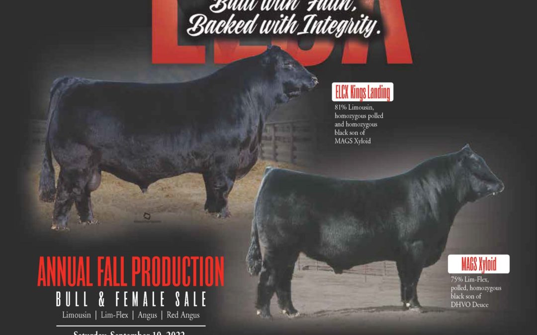 Edwards Land & Cattle Co Annual Fall Sale 9.10.2022